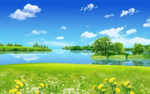 可靠性精密全自动